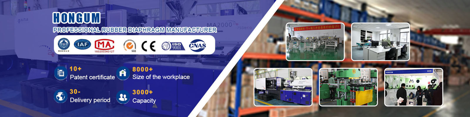 Diaframma della pompa dosatrice