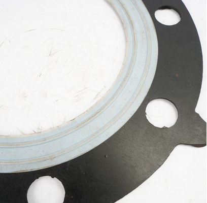 Diaframma di gomma composito di PTFE per la pompa pneumatica della valvola a diaframma