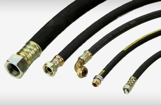 Marine High Pressure Hydraulic Hose su misura per trasporto dell'olio