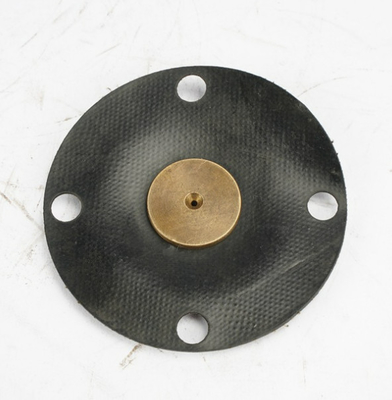 Diaframma composito di PTFE EPDM per la pompa dosatrice di Aquasystem