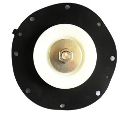 Diaframma dell'elettrovalvola a solenoide di impulso di SBFEC per 3&quot; DMF-Z-76S DMF-Y-76S