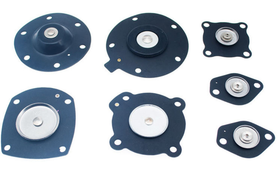Diaframma Kit For Goyen Pulse Valve RCAC25T4 DD4 FS4 di K2546 Shockwave