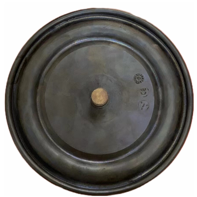 Diaframma composito di PTFE EPDM per la pompa dosatrice di Aquasystem