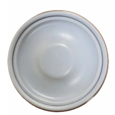 Diaframma composito di PTFE EPDM per la pompa dosatrice di Aquasystem