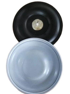 10 M3/H EPDM Measuring Pump Diaphragm Seal per applicazioni ad alta temperatura