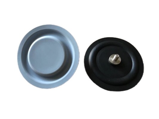 20 bar PTFE EPDM pompa di misurazione diaframma per applicazioni industriali