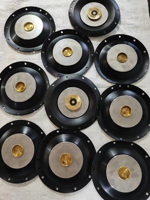 Diaframma di valvola solenoide in acciaio inossidabile 24V con resistenza alla pressione di 10 bar
