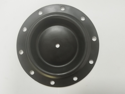 Diaframma di valvola solenoide da 1/2 pollice per una resistenza all'abrasione duratura e un flusso da 0 a 20 L/min