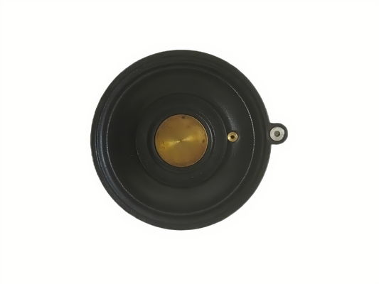 Diaframma per elettrovalvola con orifizio da 3/4 di pollice, caratterizzato da elevata resistenza alla corrosione e tipo di bobina solenoide per le prestazioni della valvola