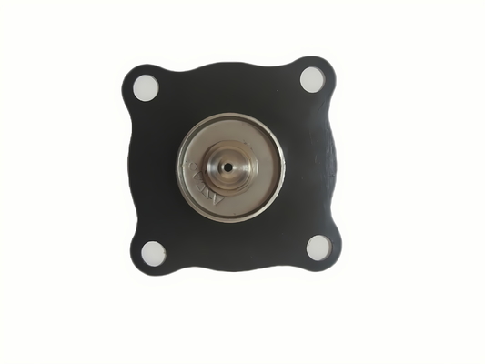 Diaframma della valvola solenoide con tipo di installazione a vite Ampia gamma di temperature e facile installazione Dimensione dell'orificio 25 mm