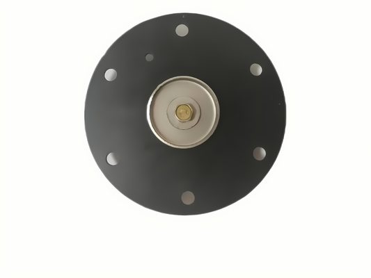 Valvola solenoide a azione diretta Diaframma NBR Tipo di sigillo per portate da 0,5 a 5 L/min e di lunga durata