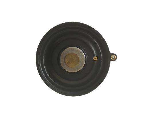 0-20 L/min Valvola solenoide di flusso Diaframma resistente alle alte temperature Per soluzioni di automazione industriale