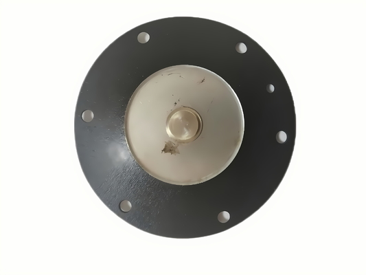 Tipo di sigillo NBR Diaframma di valvola solenoide per un ampio intervallo di temperatura di funzionamento D25 di DMF-Z-25 DMF-ZM-25 DMF-Y-25